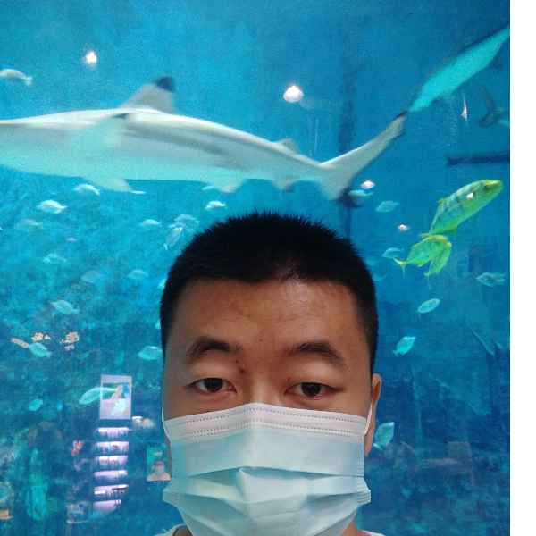 河北34岁单身帅哥真诚找对象-永州征婚相亲网